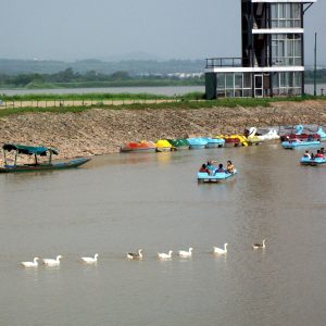 lakes in chandigarh