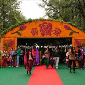 rose festival in chandigarh