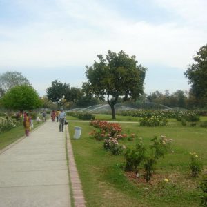 rose garden in chandigarh
