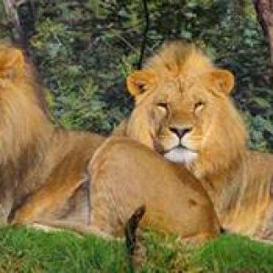 top places to visit in chandigarh