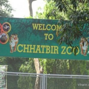 zoo in chandigarh