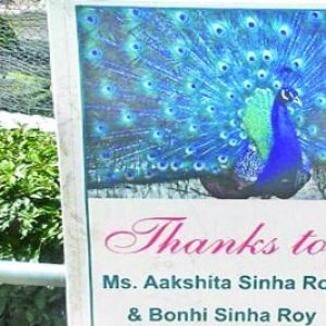 zoological park in chandigarh