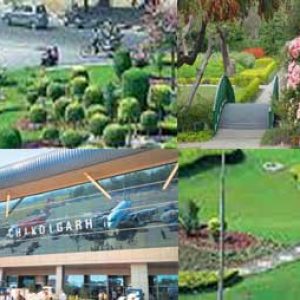 Amazing Chandigarh