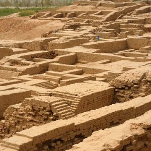 Amazing arts Chandigarh - Harappan