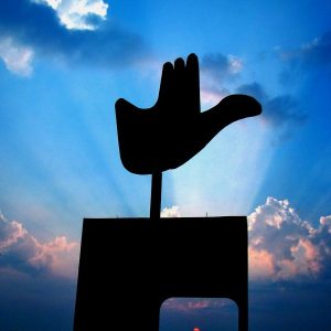 Amazing places in Chandigarh