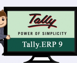 Features of Tally
