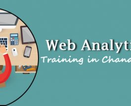 Learning about visitor behavior with Web Analytics Training